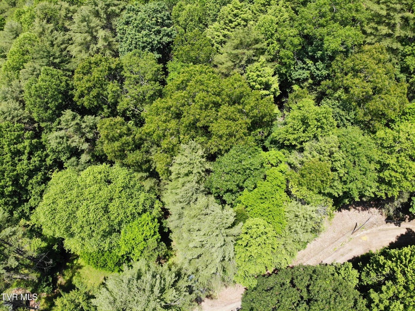 Photo #3: 000 Woodchuck Way