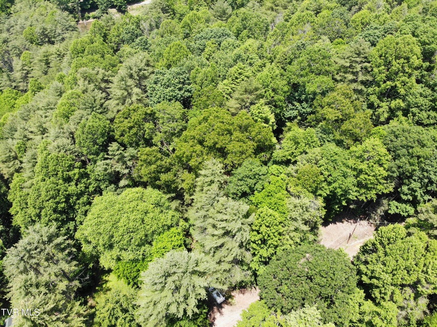 Photo #4: 000 Woodchuck Way