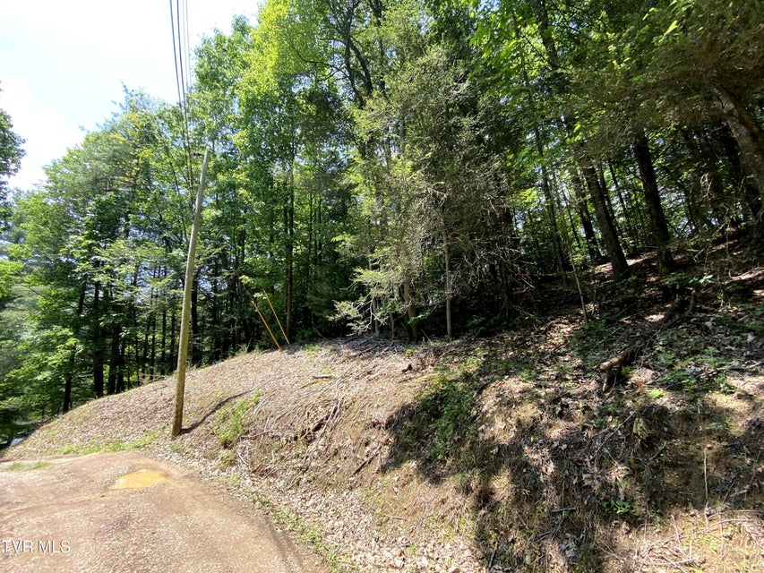 Photo #11: 000 Woodchuck Way