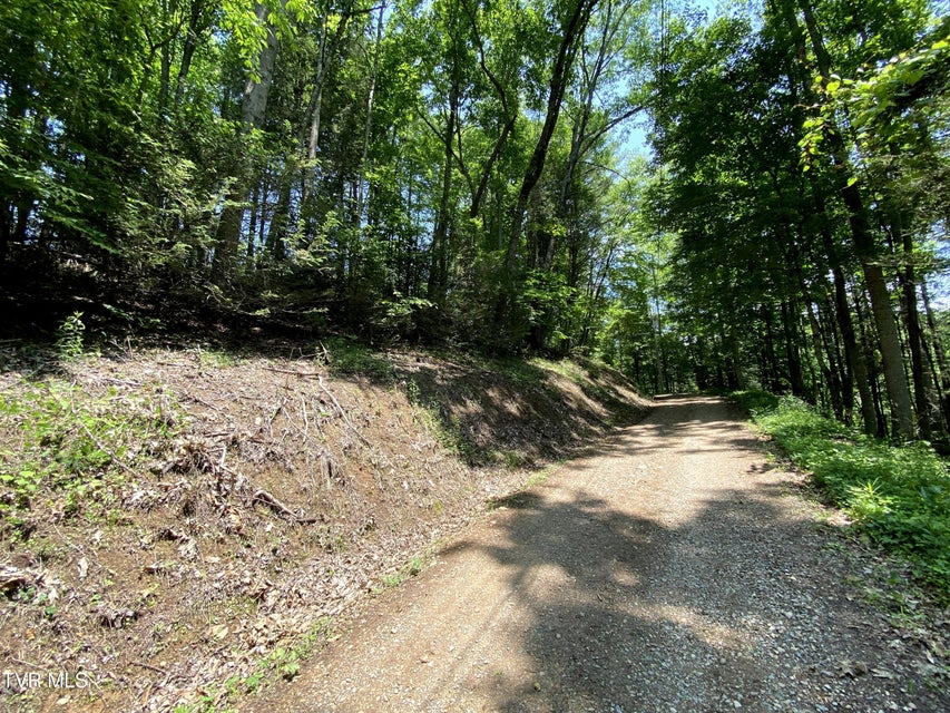 Photo #12: 000 Woodchuck Way