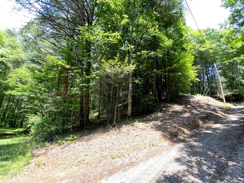 Photo #13: 000 Woodchuck Way