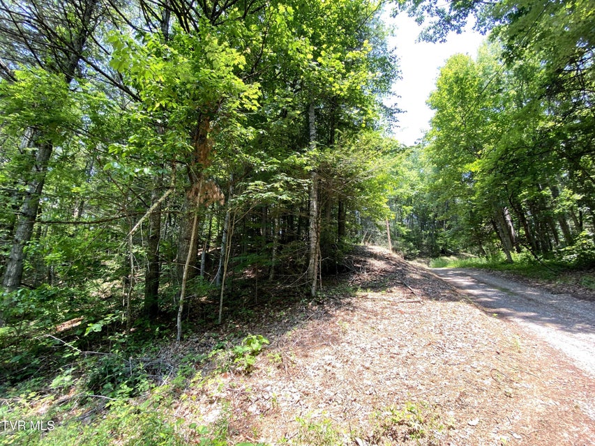 Photo #14: 000 Woodchuck Way