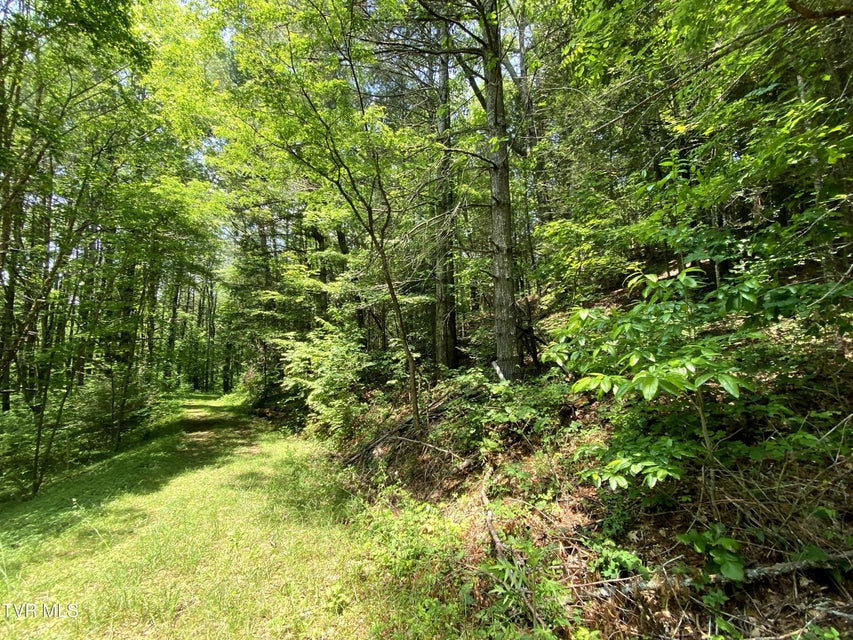 Photo #15: 000 Woodchuck Way