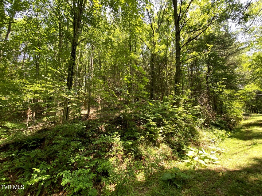 Photo #16: 000 Woodchuck Way