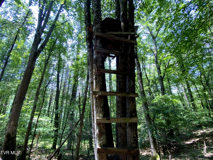 Photo #18: 000 Woodchuck Way