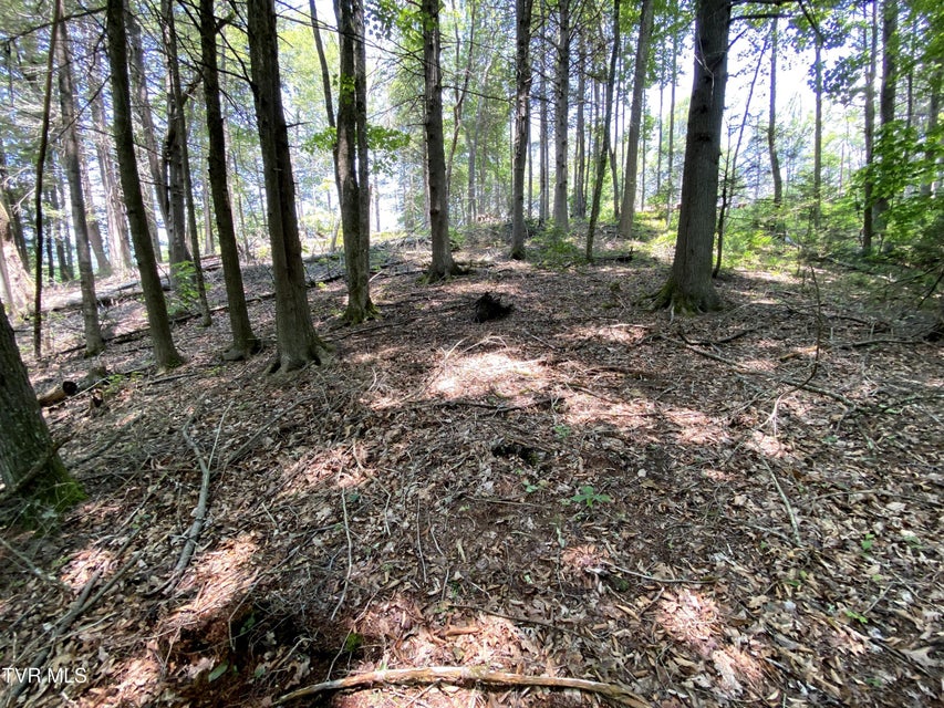 Photo #20: 000 Woodchuck Way