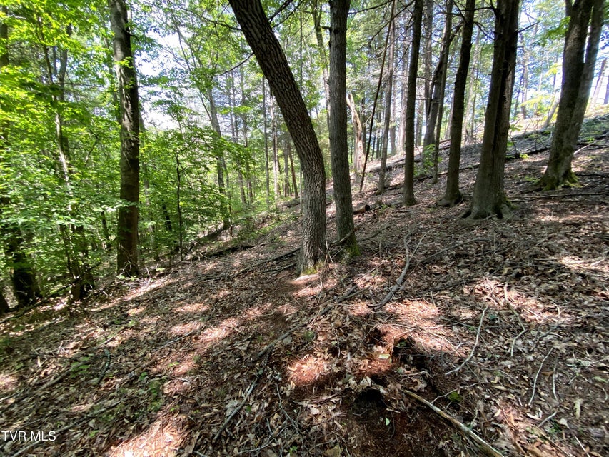 Photo #21: 000 Woodchuck Way