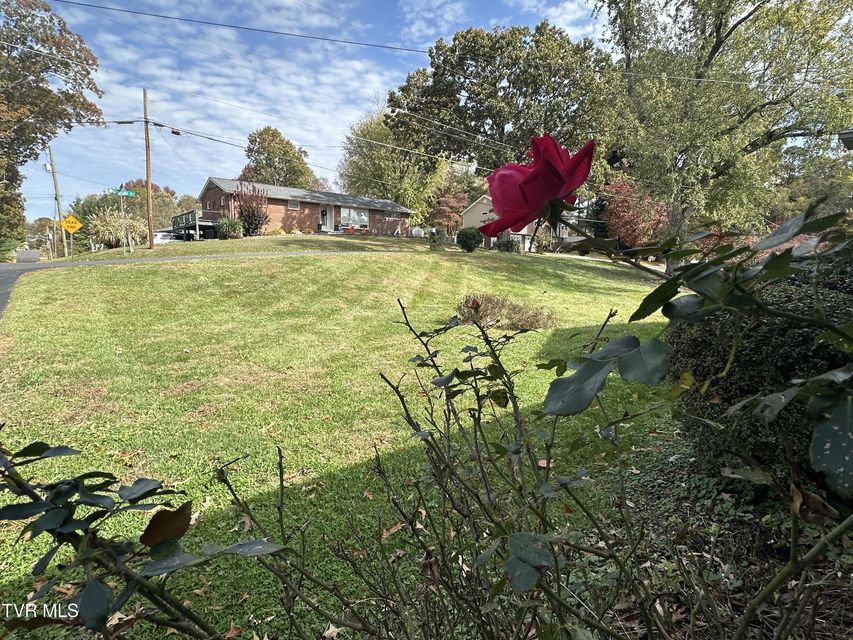 Photo #95: 412 Lakeside Drive