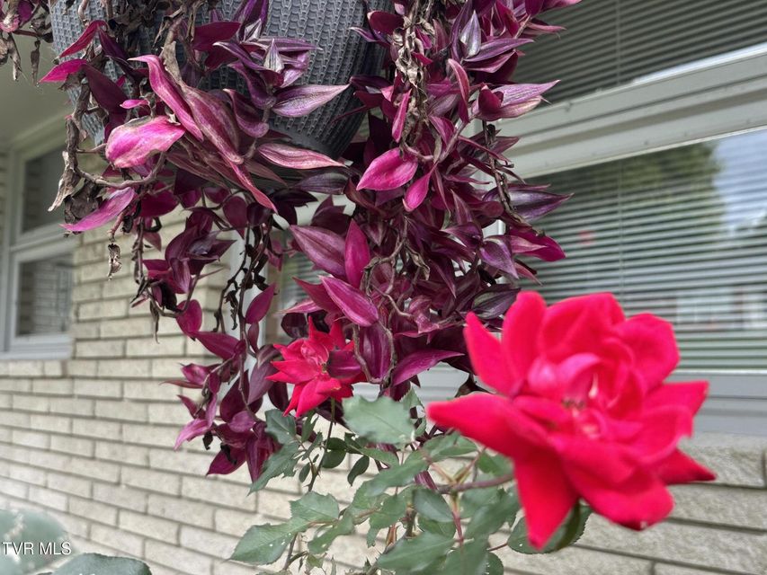 Photo #53: 412 Lakeside Drive