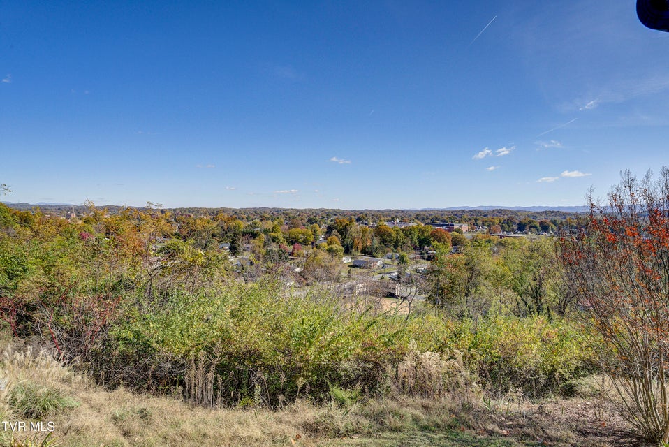 Photo #46: 103 Skyline Drive