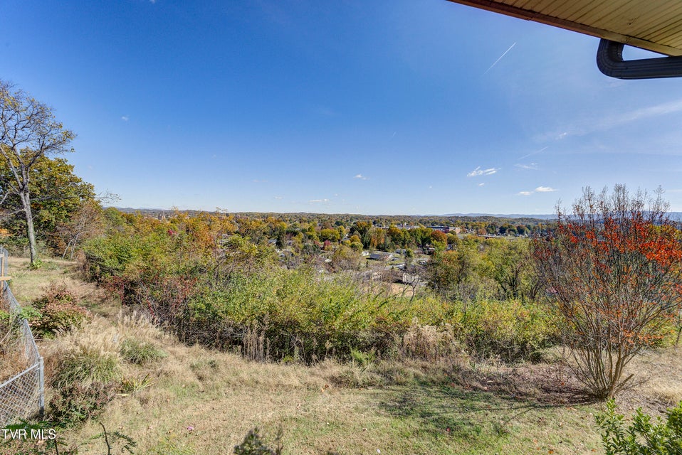 Photo #47: 103 Skyline Drive