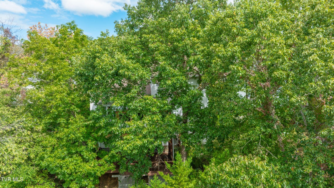 Photo #55: 9 Green Valley Court