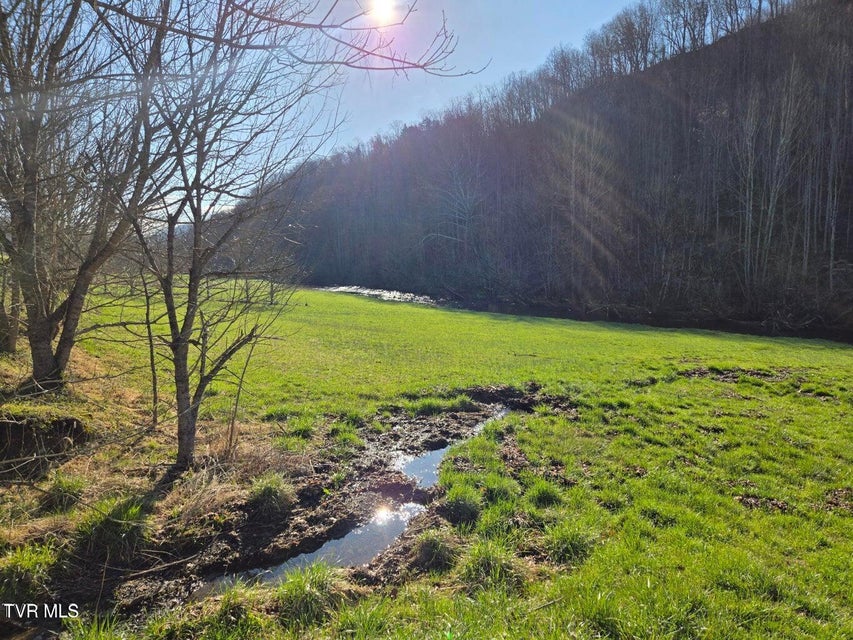 Photo #66: 2388 Ruritan Run Road