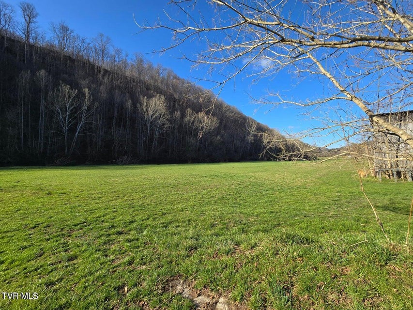 Photo #67: 2388 Ruritan Run Road