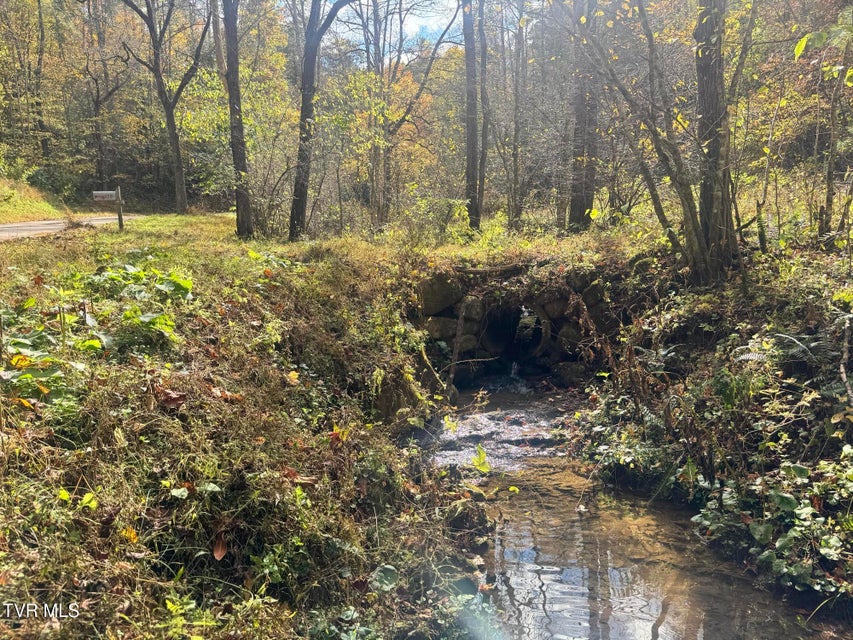 Photo #10: 150 Little Branch Road