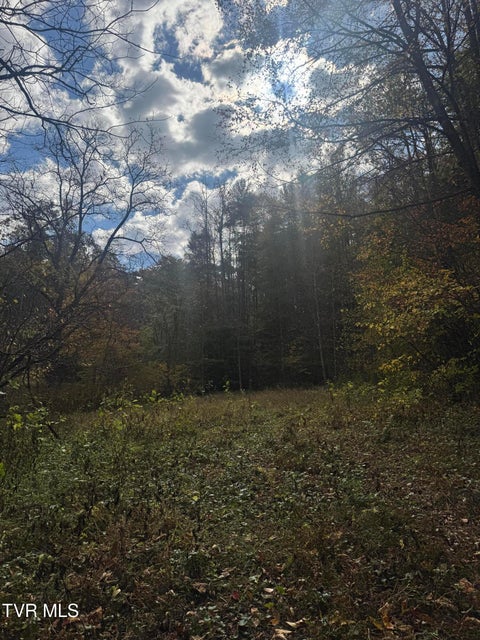 Photo #57: 150 Little Branch Road