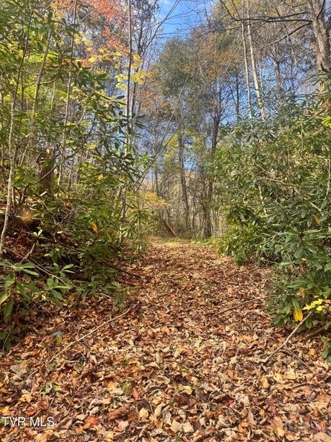 Photo #9: 150 Little Branch Road