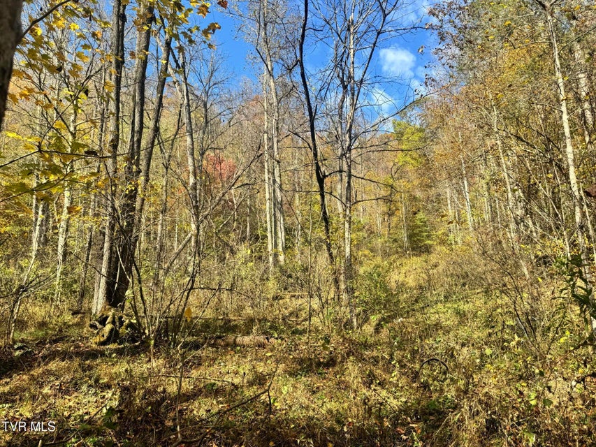 Photo #11: 150 Little Branch Road