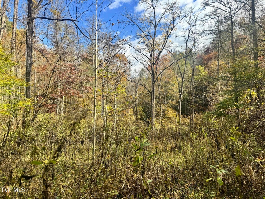 Photo #14: 150 Little Branch Road