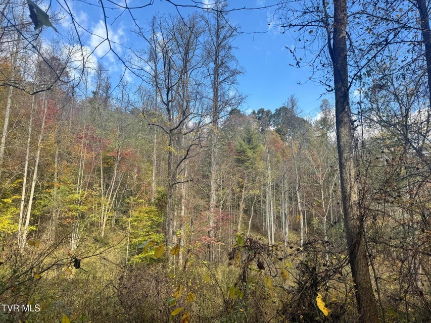 Photo #13: 150 Little Branch Road