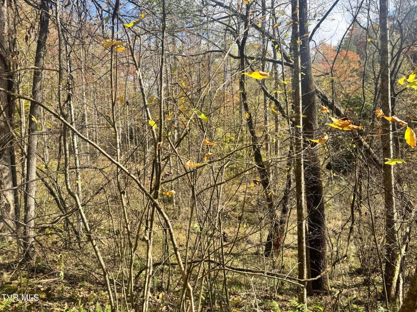 Photo #12: 150 Little Branch Road