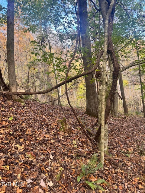 Photo #32: 150 Little Branch Road