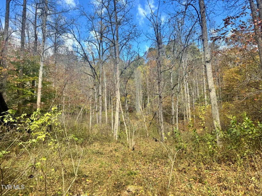 Photo #15: 150 Little Branch Road