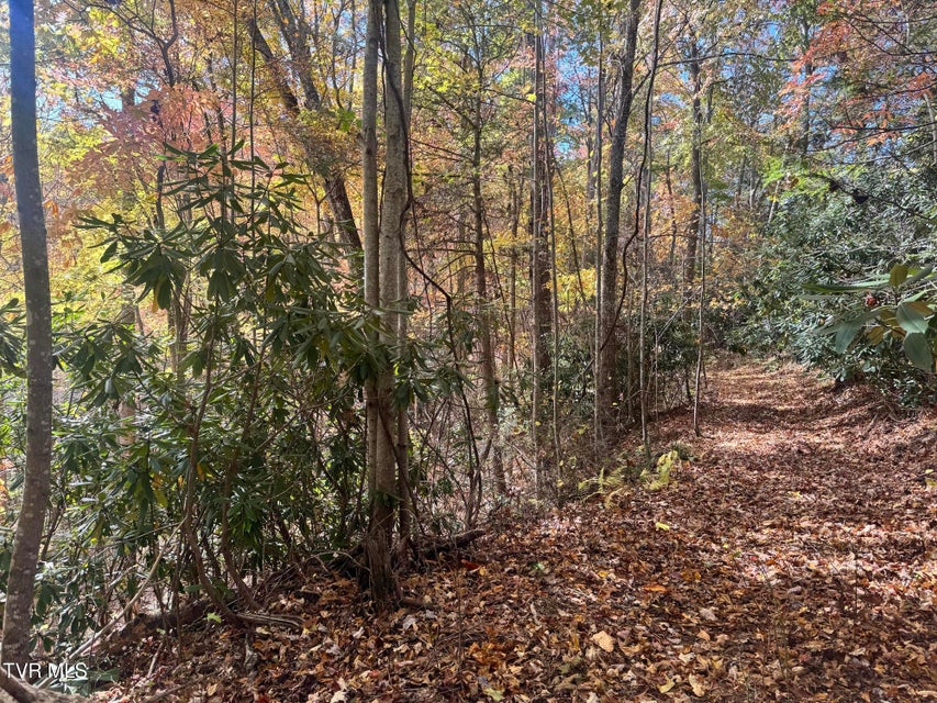 Photo #33: 150 Little Branch Road