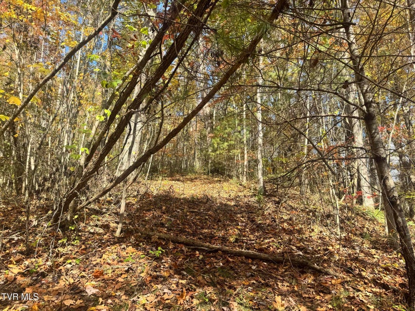 Photo #35: 150 Little Branch Road