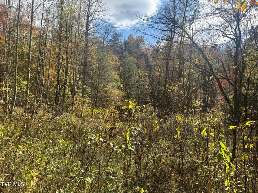 Photo #26: 150 Little Branch Road