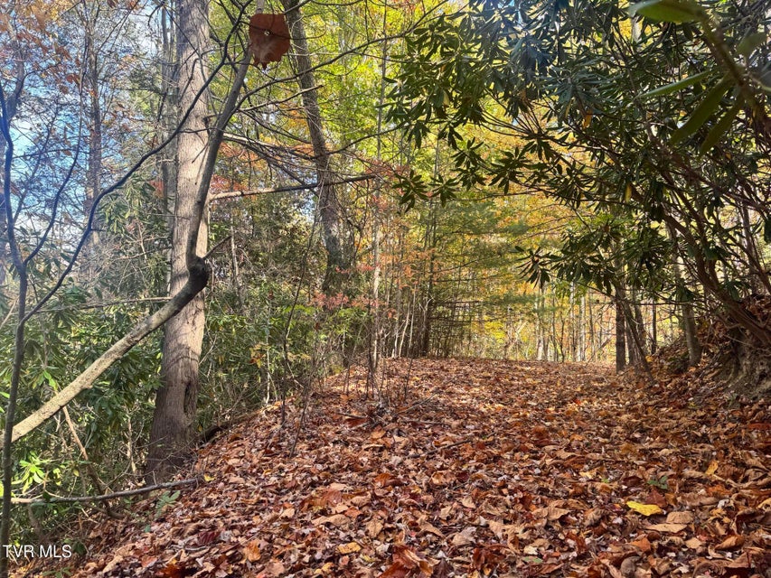 Photo #36: 150 Little Branch Road