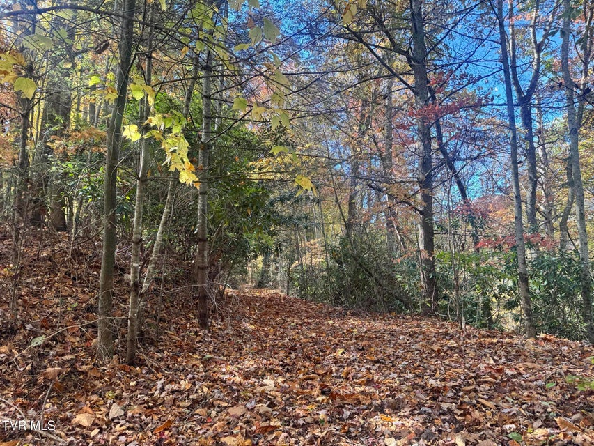 Photo #37: 150 Little Branch Road