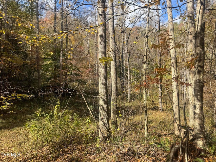 Photo #17: 150 Little Branch Road