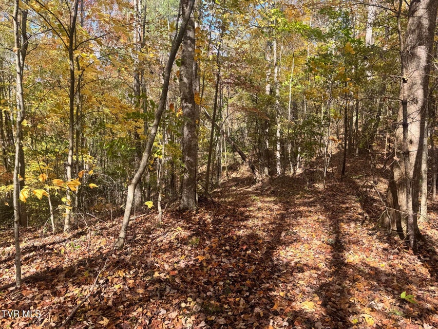 Photo #38: 150 Little Branch Road