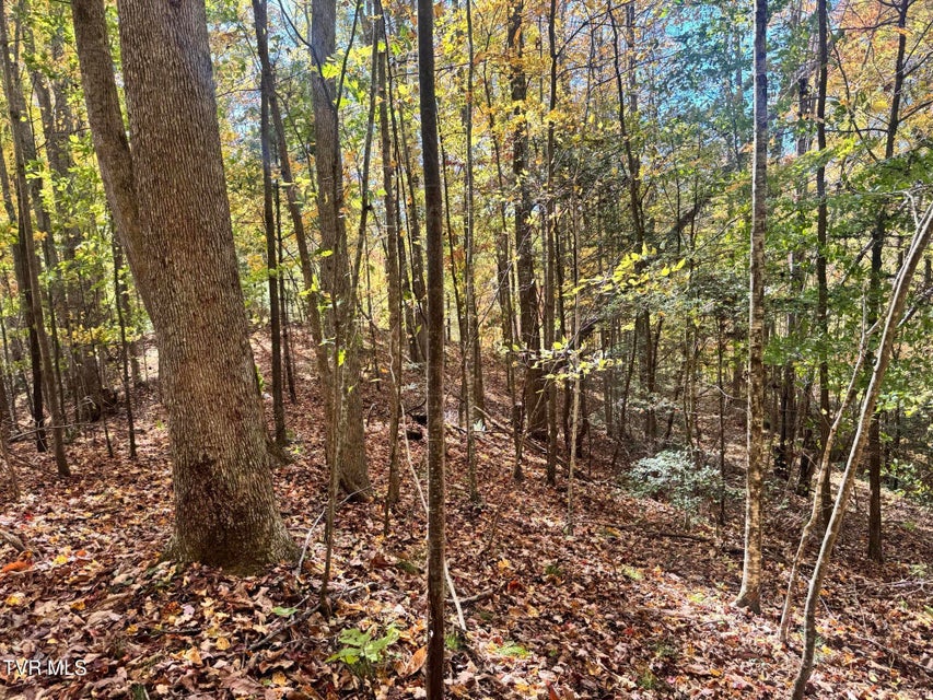 Photo #40: 150 Little Branch Road