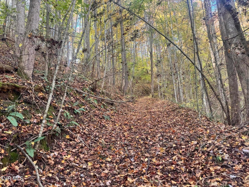 Photo #42: 150 Little Branch Road