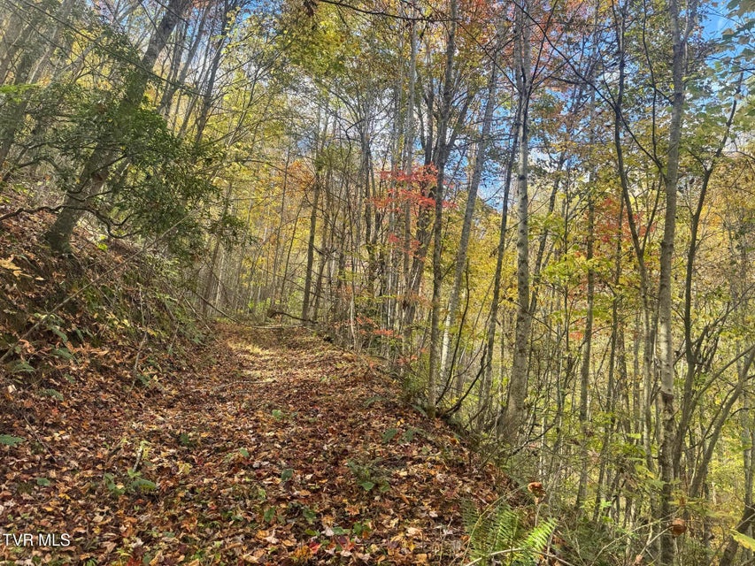 Photo #43: 150 Little Branch Road