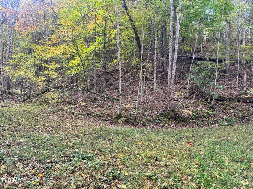 Photo #18: 150 Little Branch Road