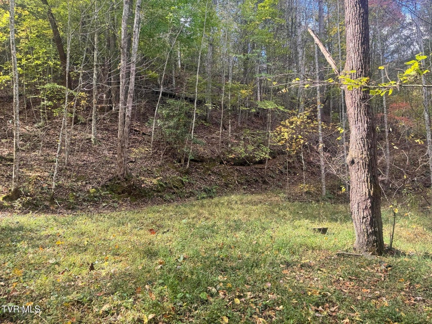 Photo #19: 150 Little Branch Road