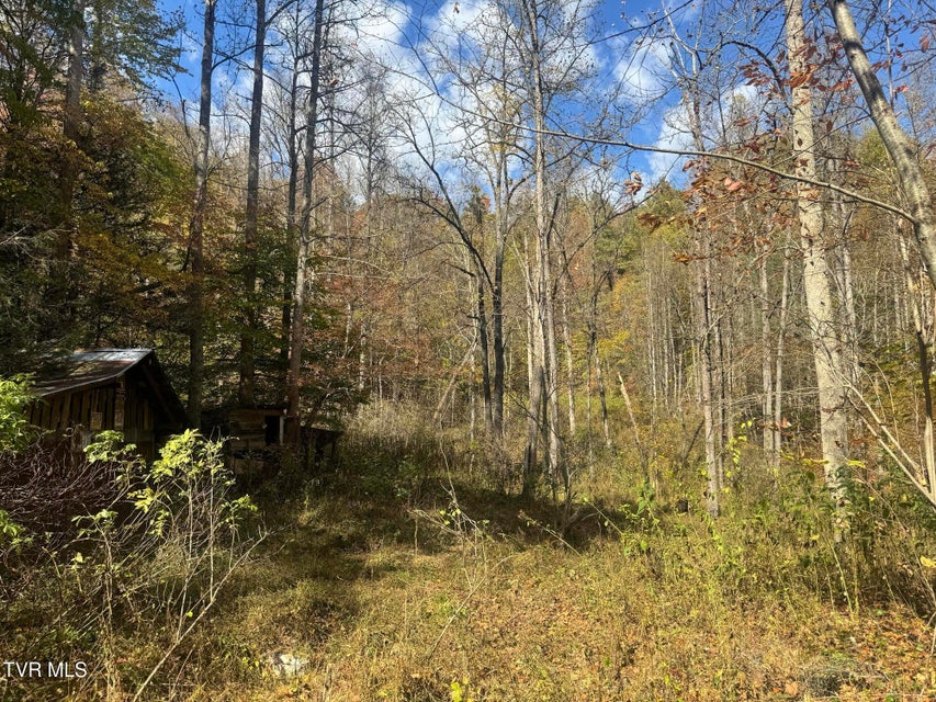 Photo #20: 150 Little Branch Road