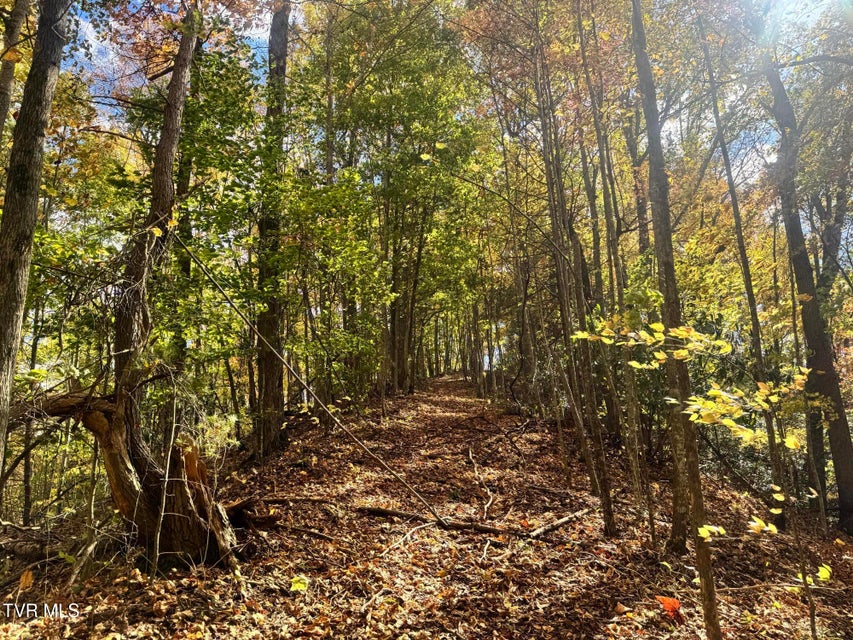 Photo #45: 150 Little Branch Road