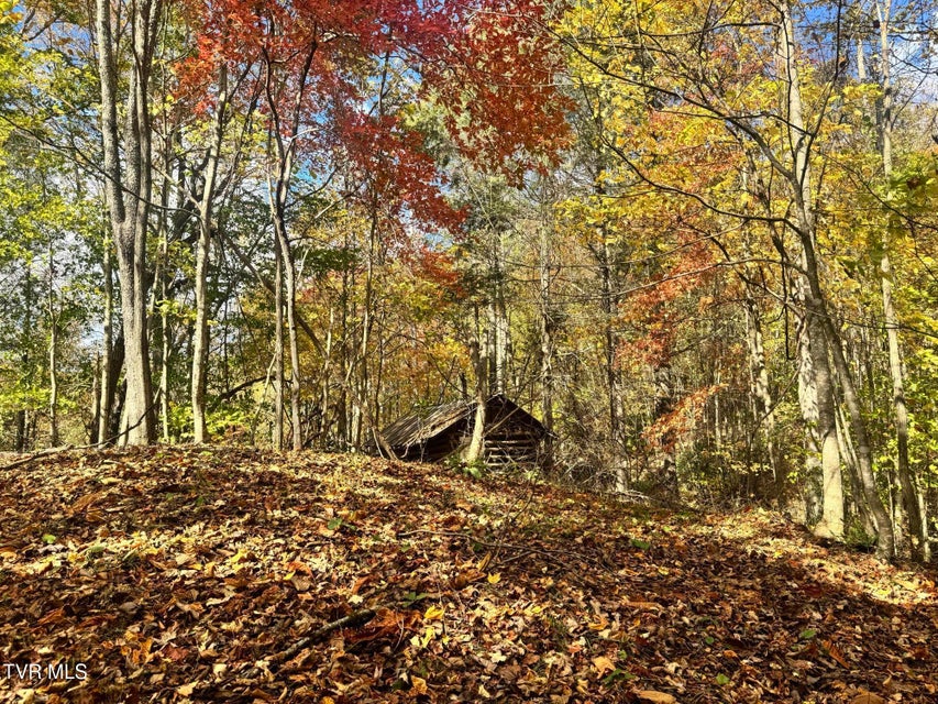 Photo #30: 150 Little Branch Road