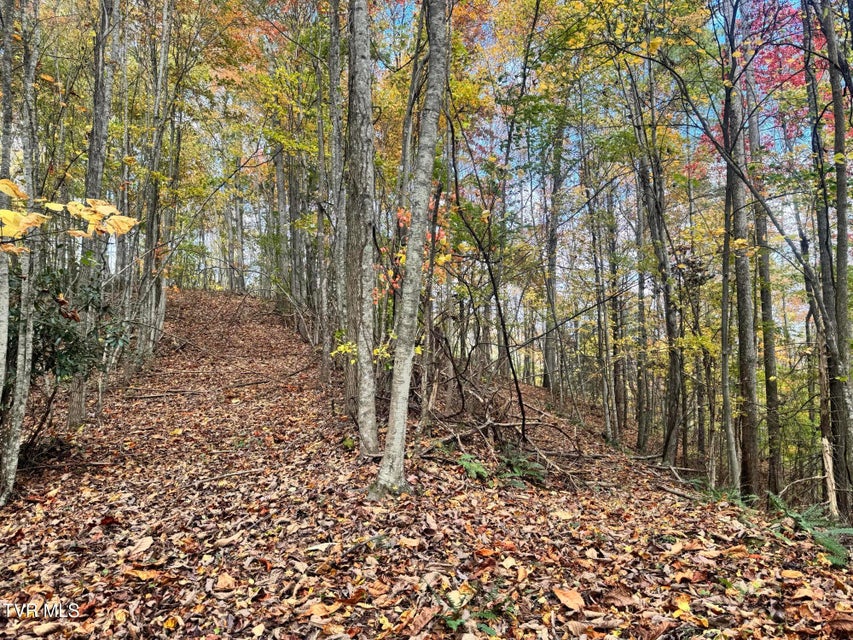 Photo #49: 150 Little Branch Road