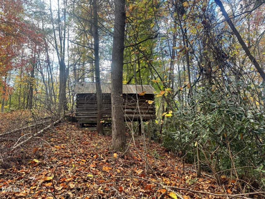 Photo #29: 150 Little Branch Road