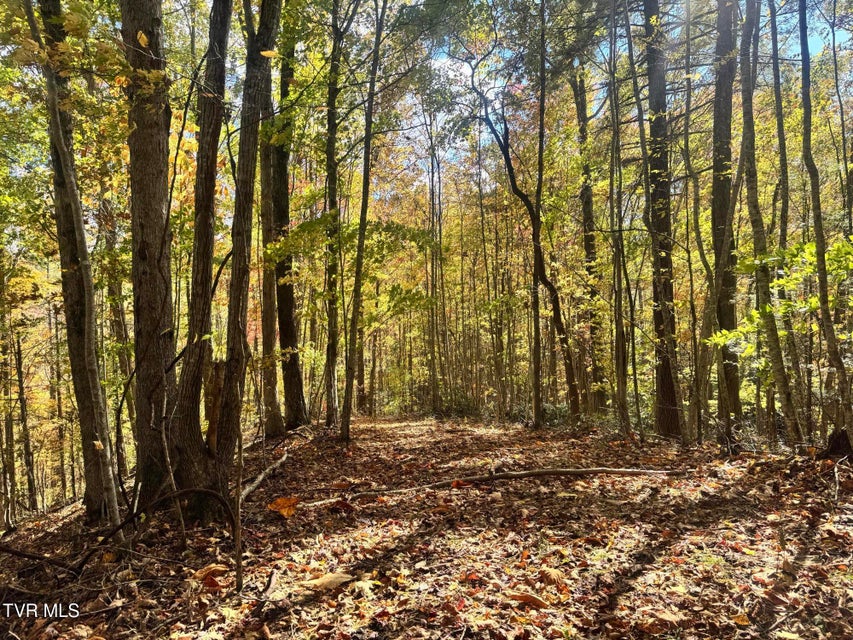 Photo #50: 150 Little Branch Road