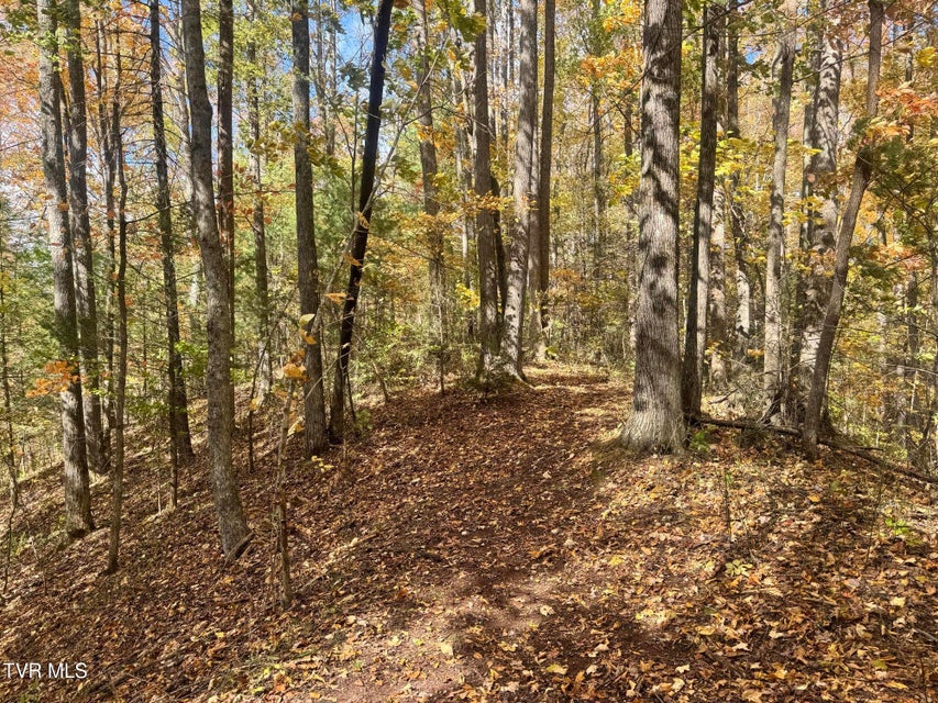 Photo #51: 150 Little Branch Road