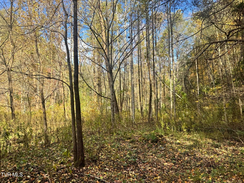 Photo #21: 150 Little Branch Road