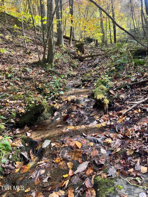 Photo #52: 150 Little Branch Road