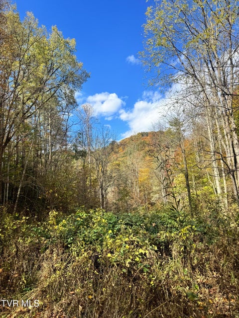 Photo #4: 150 Little Branch Road