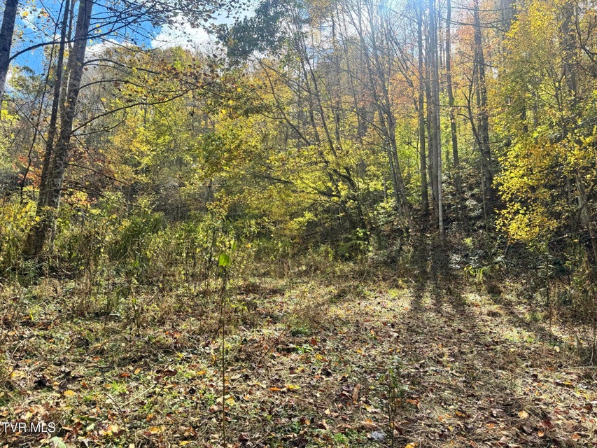 Photo #5: 150 Little Branch Road